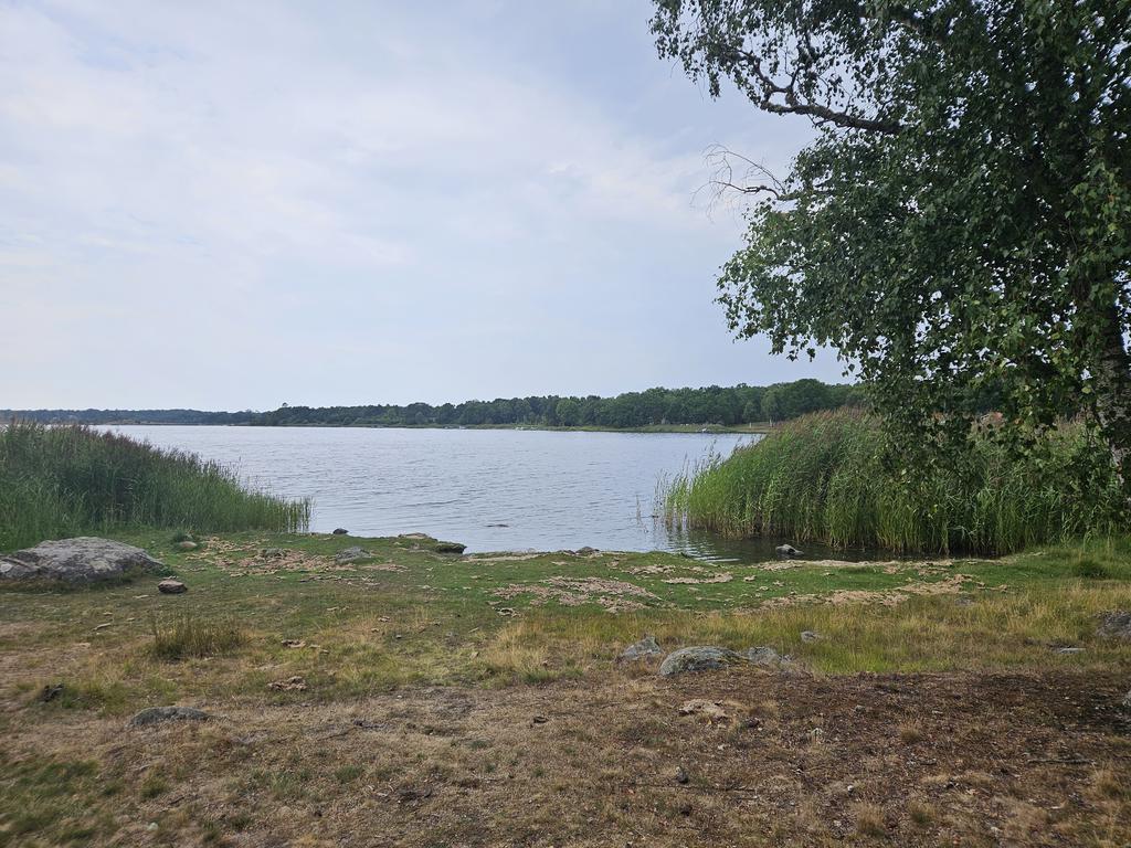 Omgivningsbild