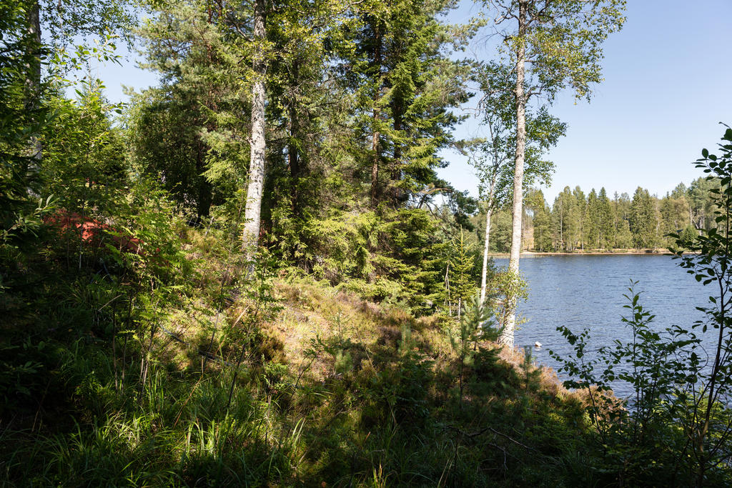 Sjö på baksidan