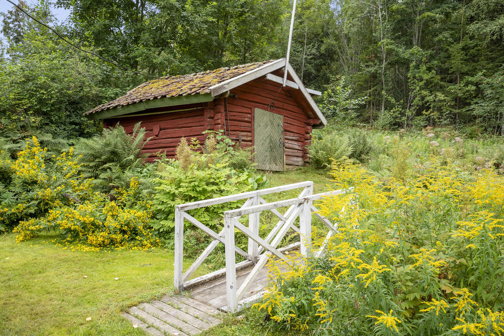 Trädgård