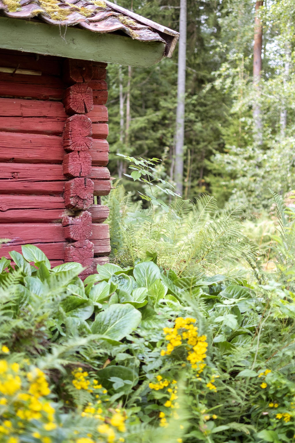 Detaljbild
