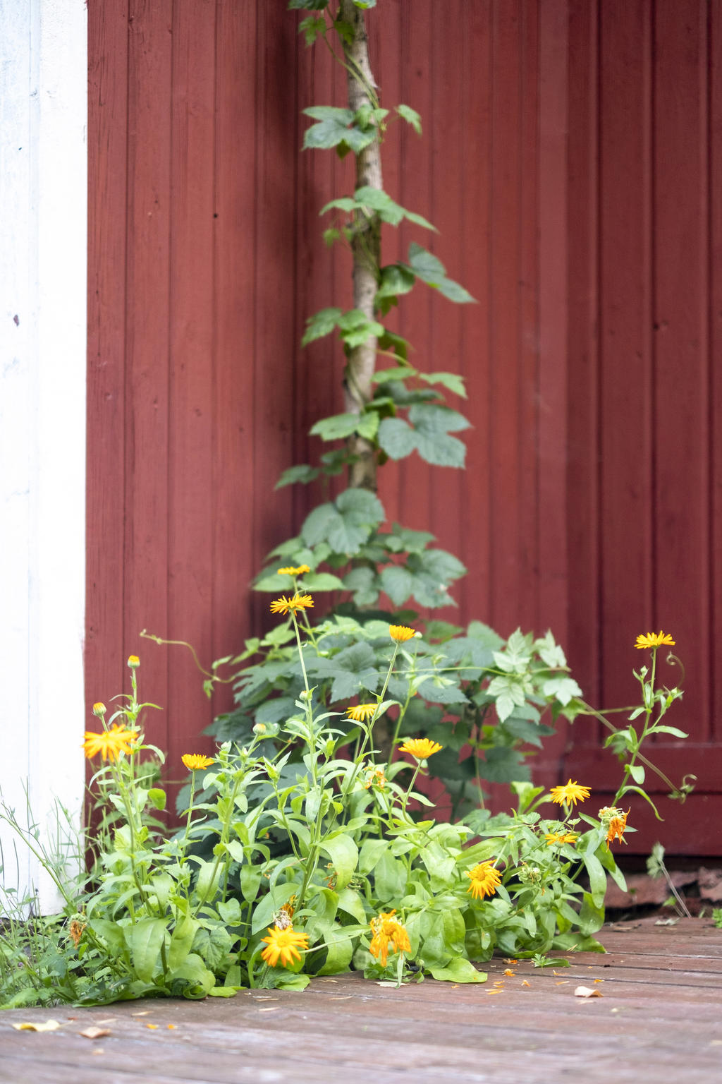 Detaljbild