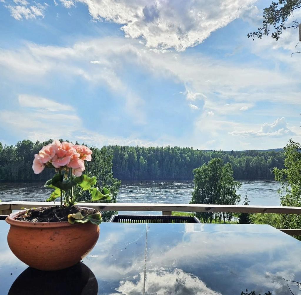 Säljarens egna bild