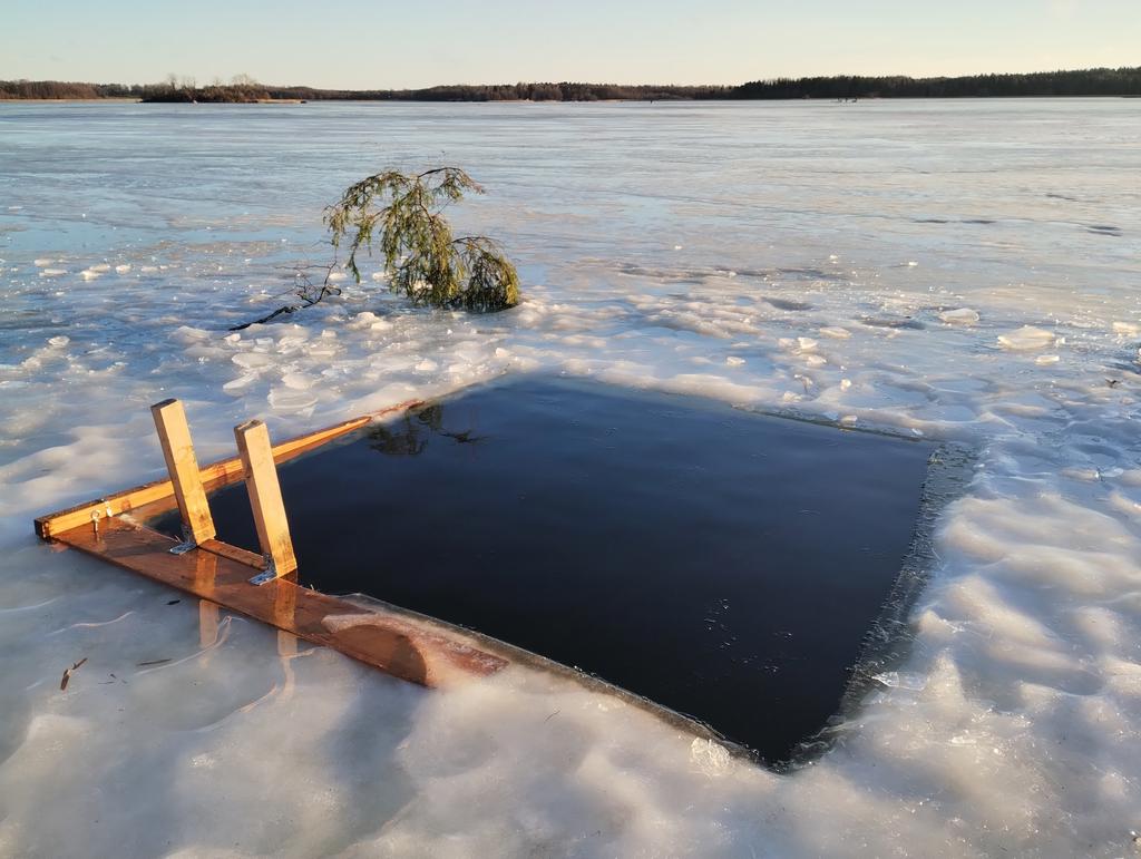 Säljarens egen bild