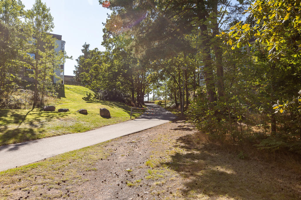 Områdesbild - fin grönska och promenadstråk
