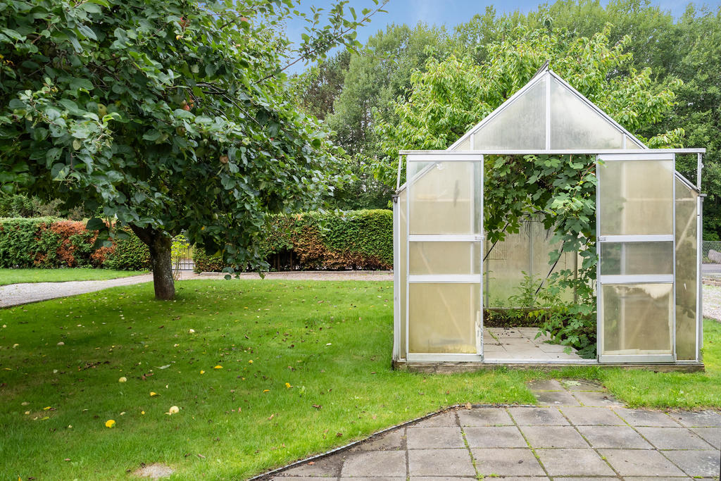 Lummig trädgård med växthus