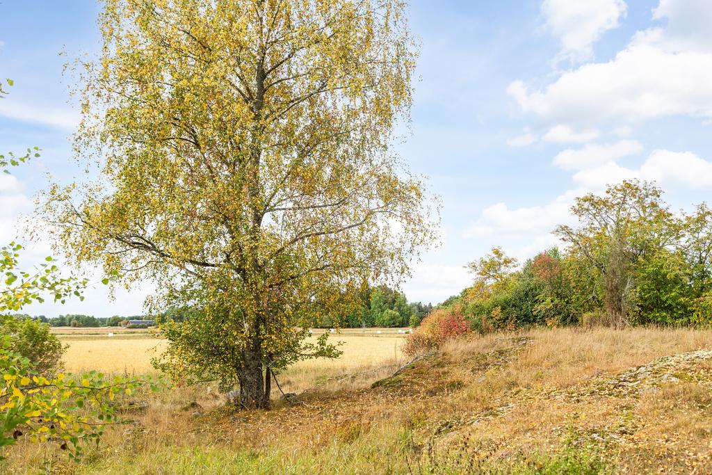 Bild 2 från Svensk Fastighetsförmedling