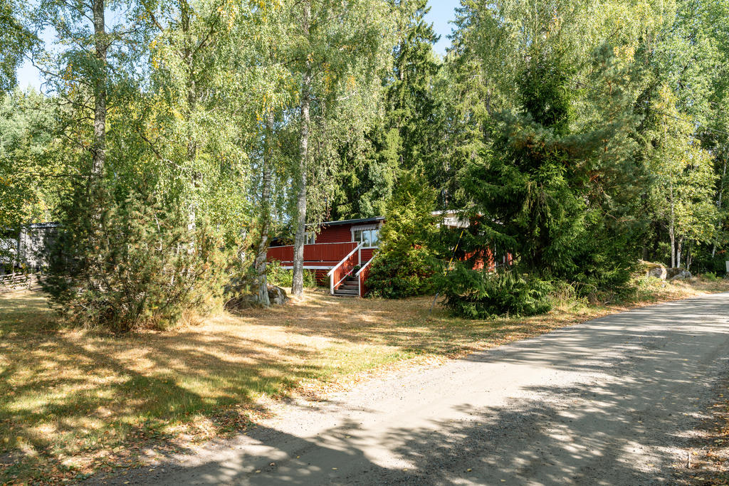 Trädgården