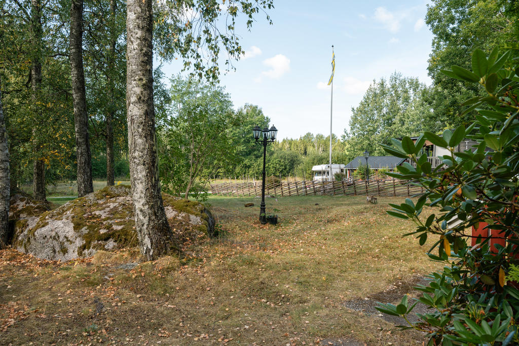 Trädgården