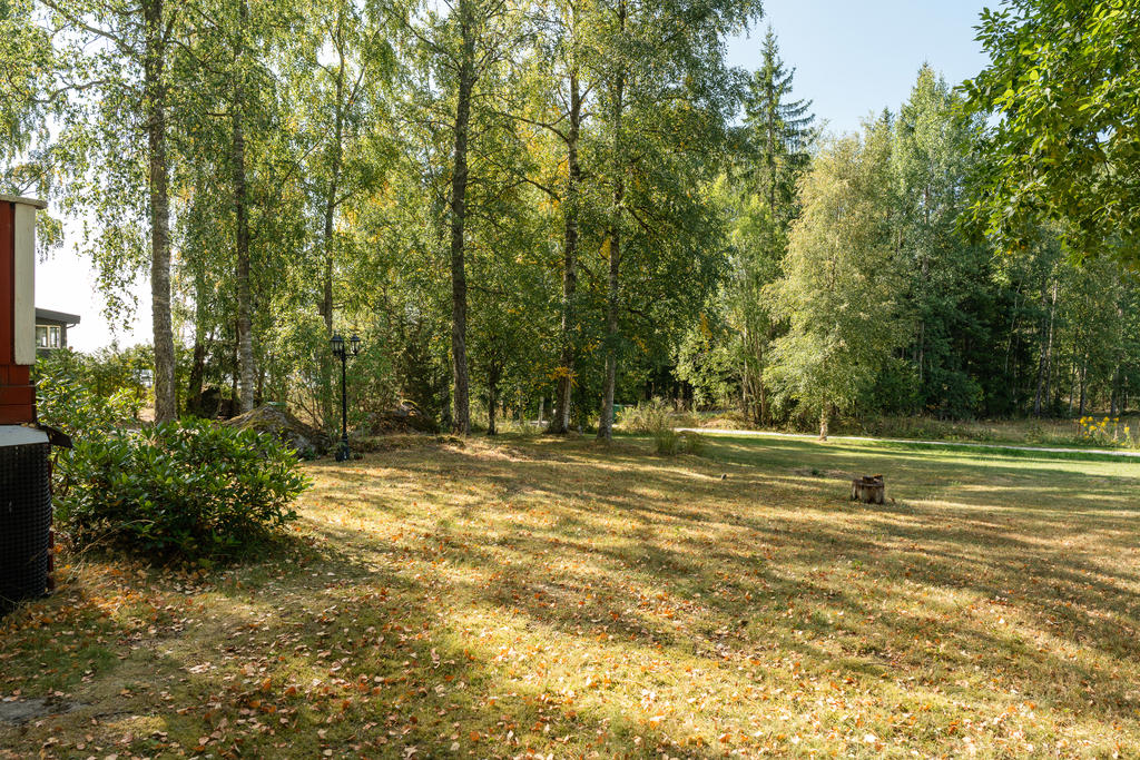 Trädgården