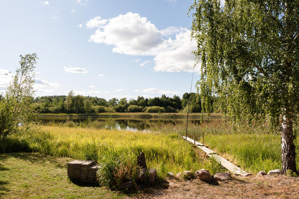 Trädgård