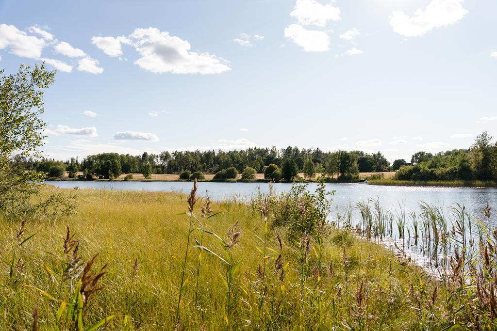 Trädgård med utsikt åt alla lägen