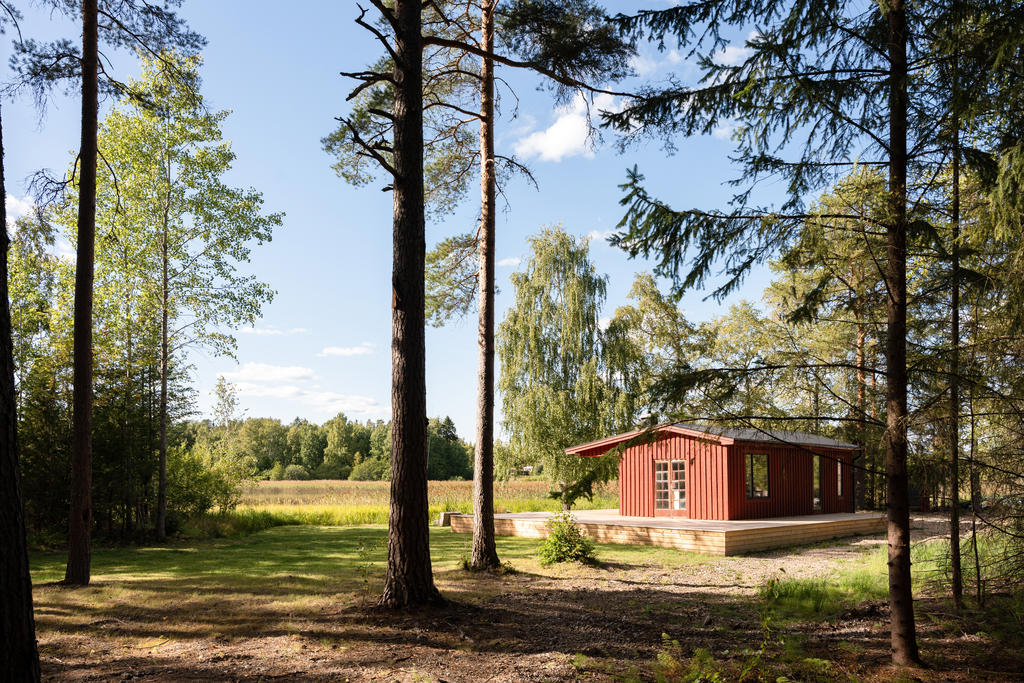 Huset/trädgård