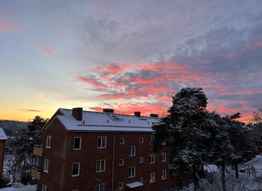 Säljarens mobilbild