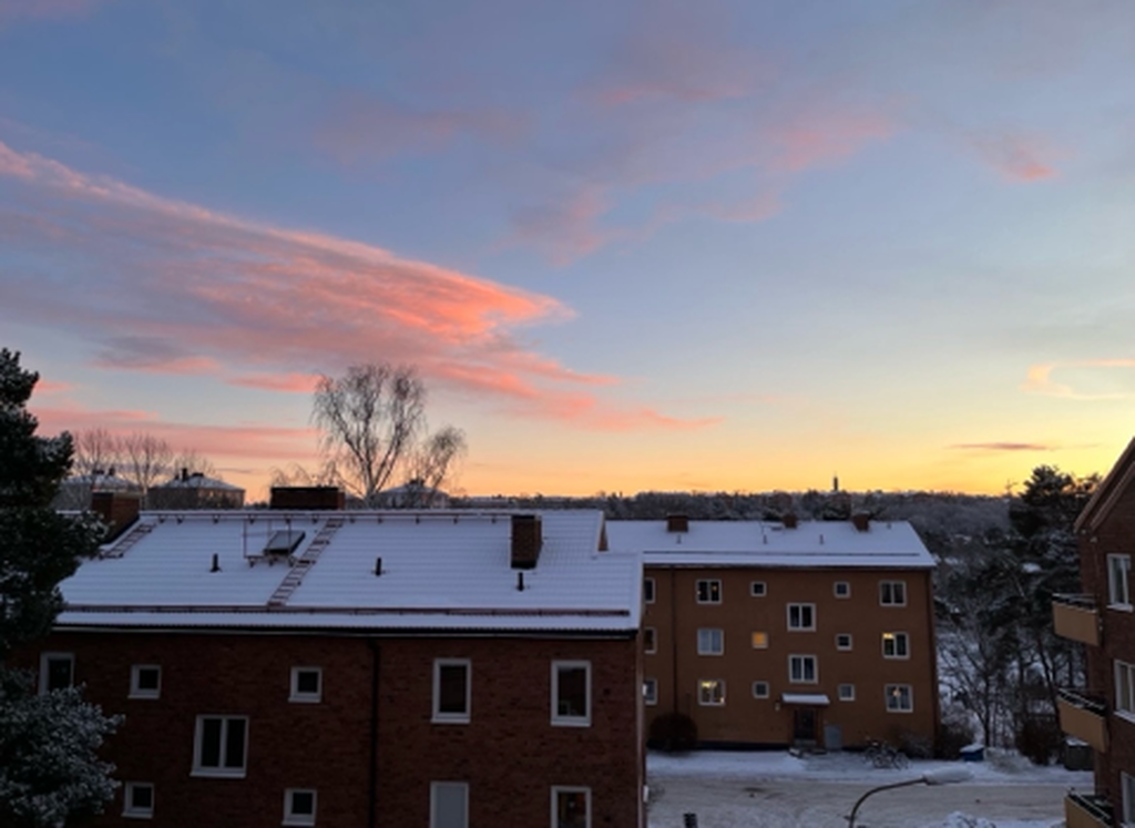 Säljarens mobilbild