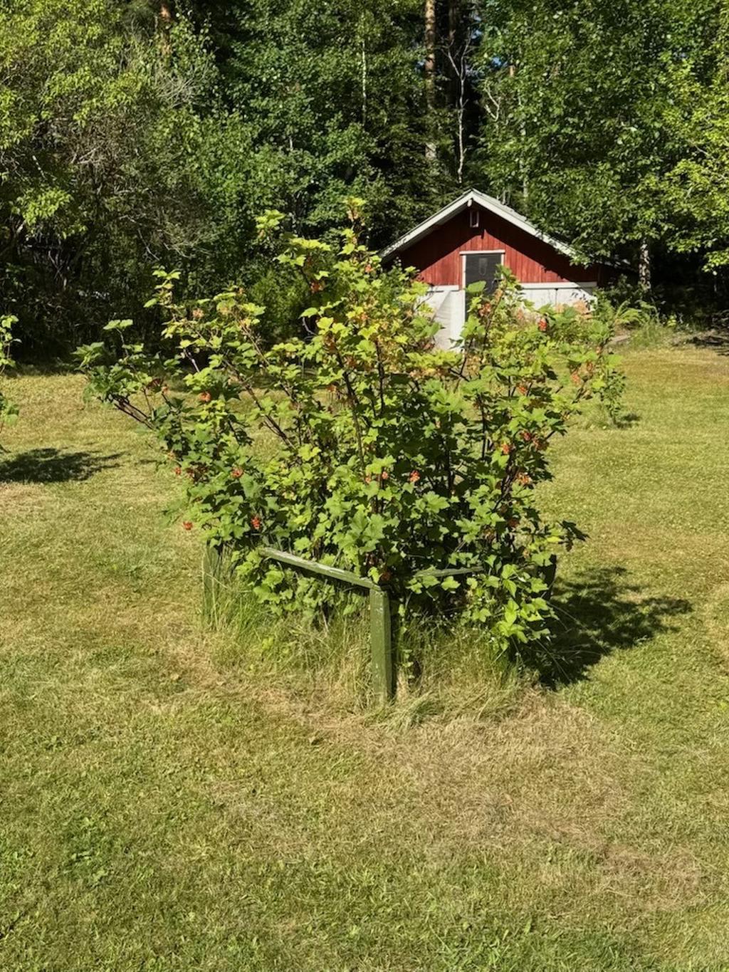 Säljarens egna bild