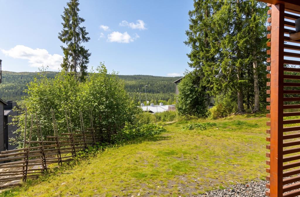 Utsikt från uteplatsen