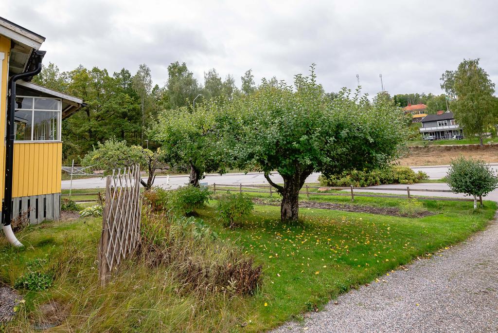 Trädgårdsparti