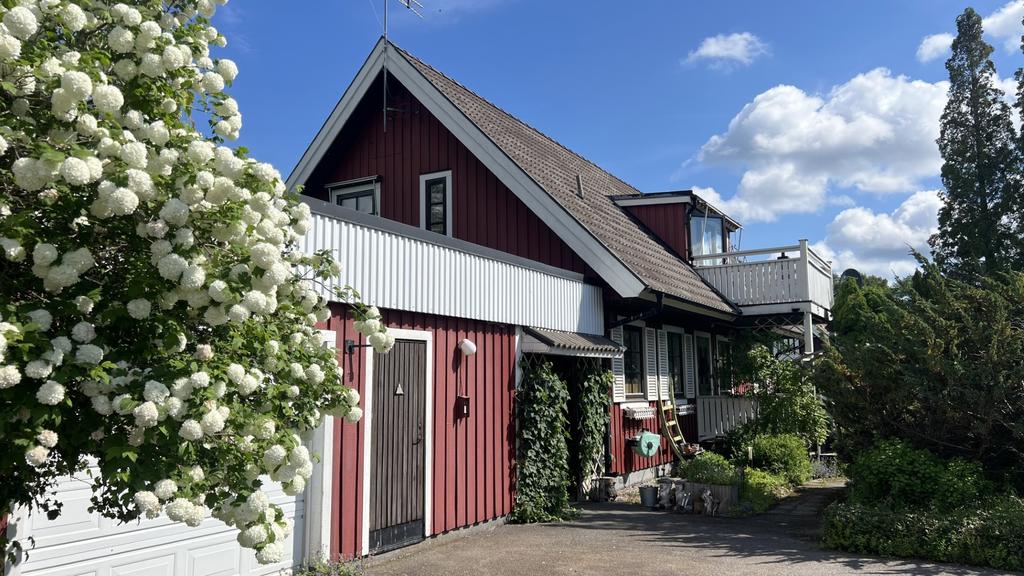 Grönskande trädgård säljarens bilder