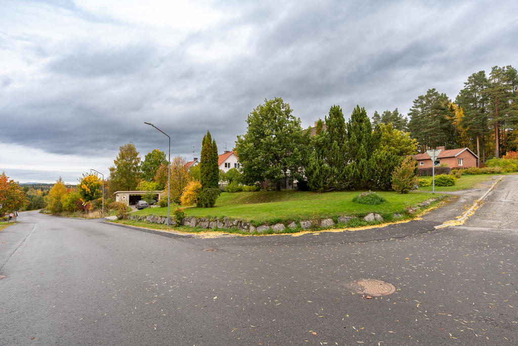 Härlig grönska runt huset!