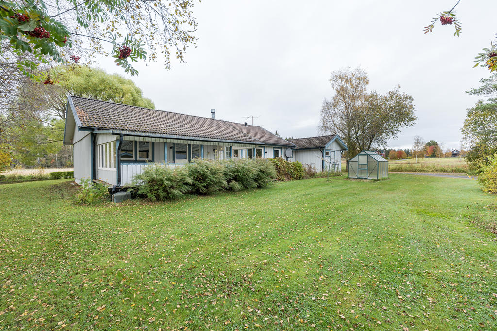 Stor och härlig gräsmatta 