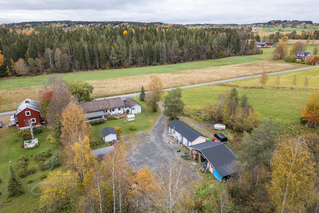 Härligt med ängar runt om kring gården
