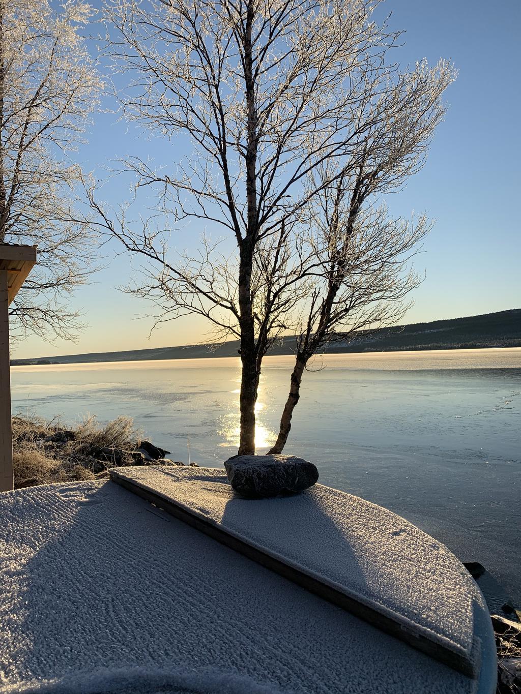 Säljarens egna bild