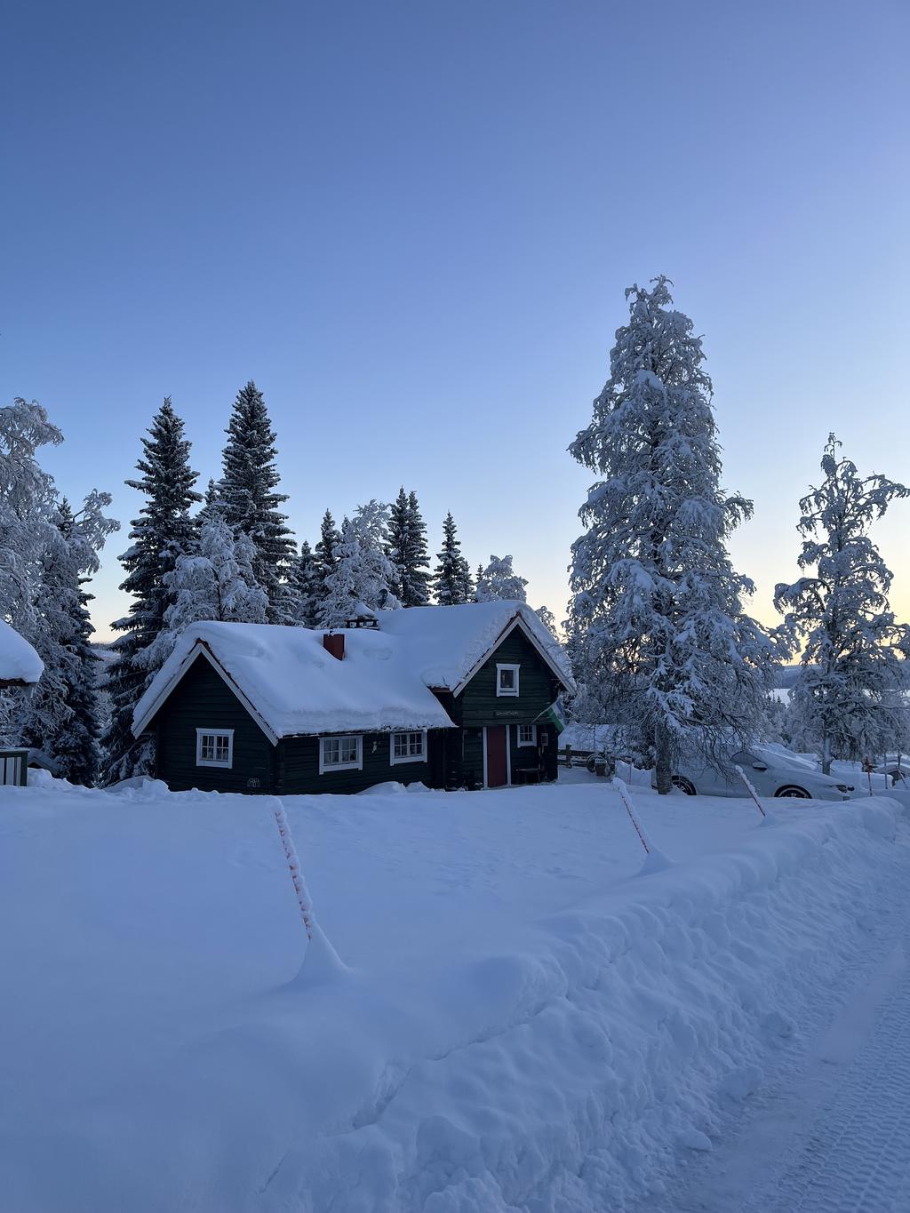 Säljarens egna bild