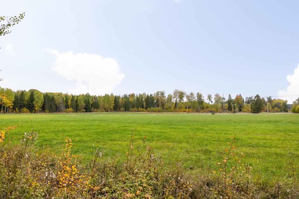 Utsikt från tomten