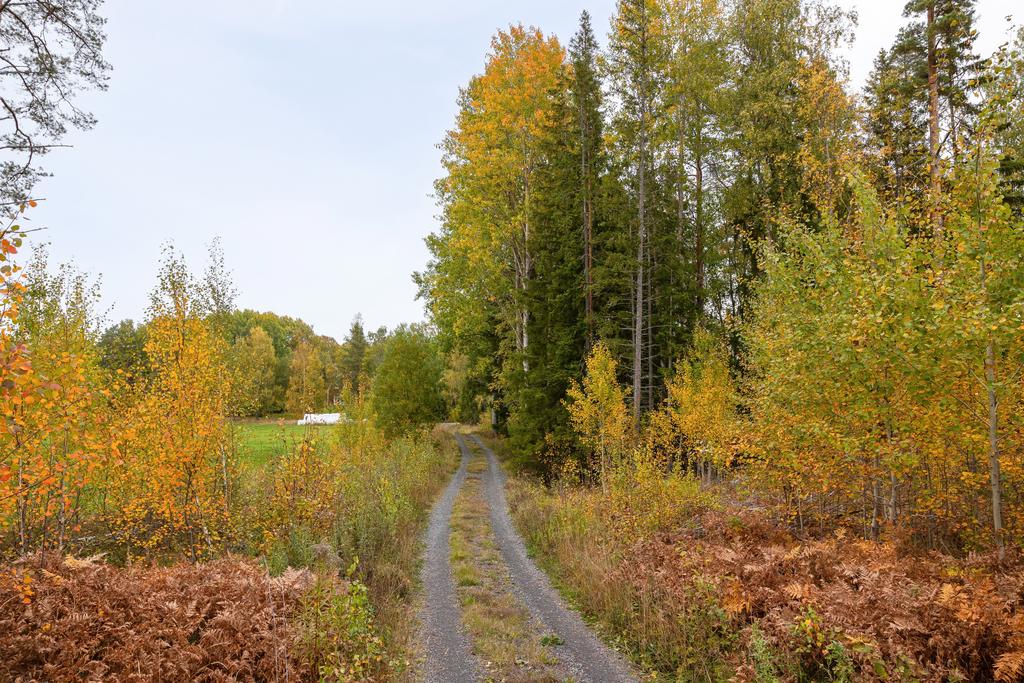 Väg till tomten