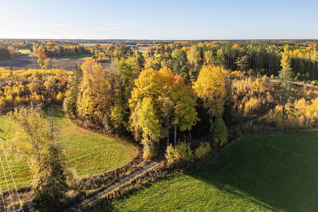 Överblick av tomt och omkringliggande mark 