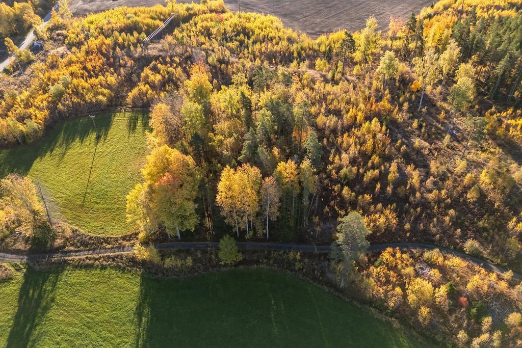 Överblick av tomt och omkringliggande mark 