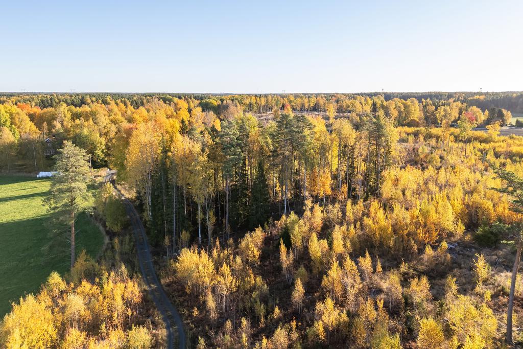Överblick av tomt och omkringliggande mark/miljö
