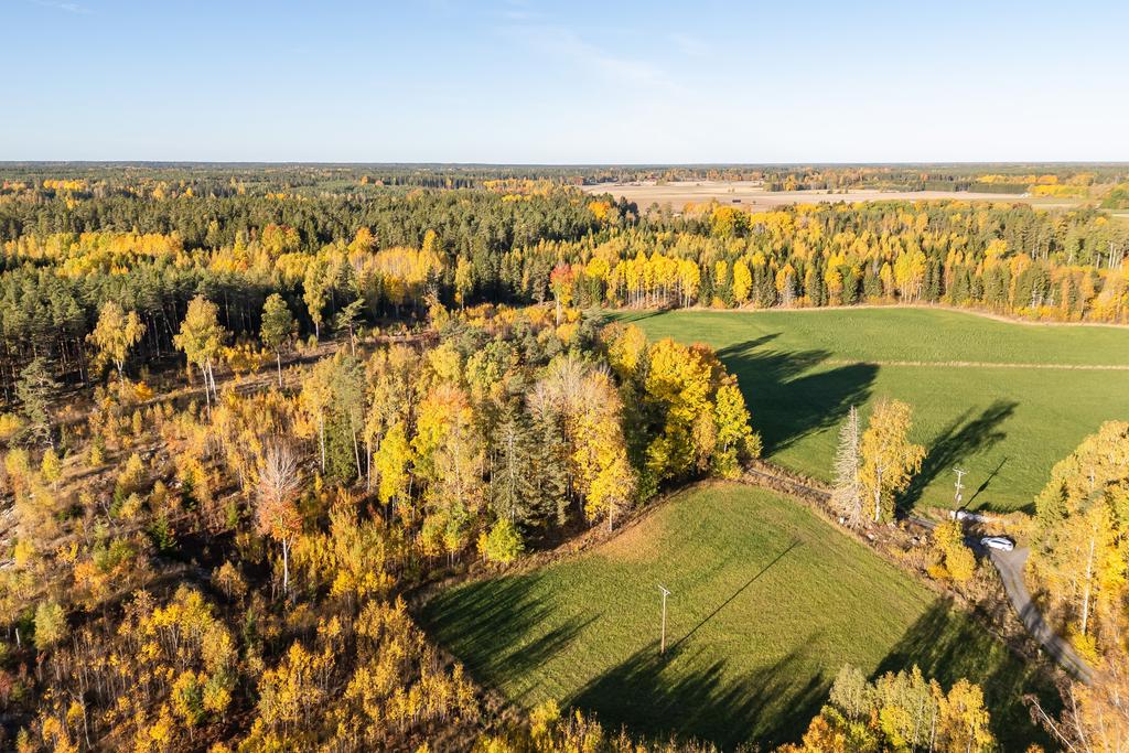 Överblick av tomt och omkringliggande mark 