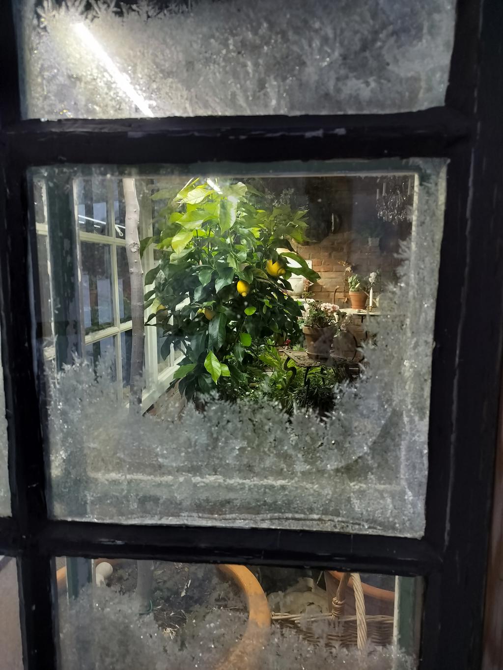 Säljarens bild