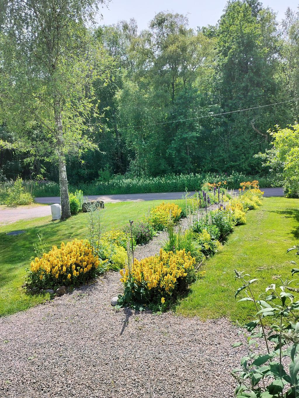 Säljarens bild