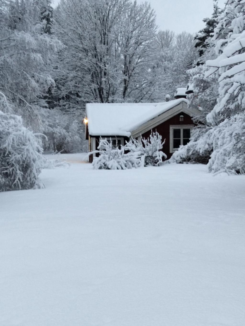 Säljarens bild