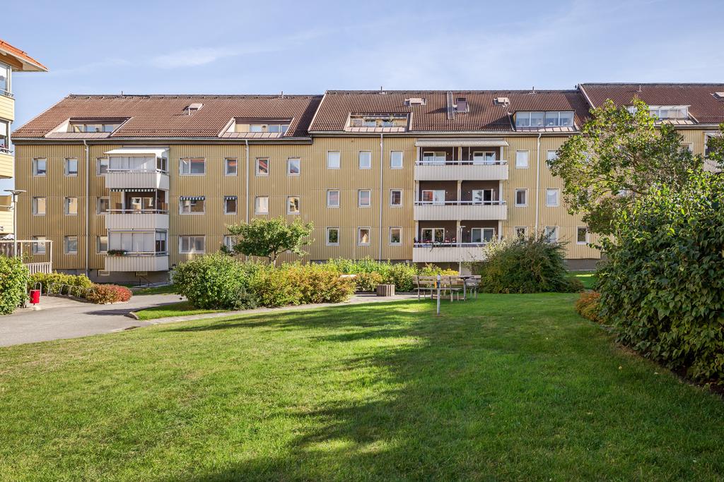 Stor innergård i föreningen.