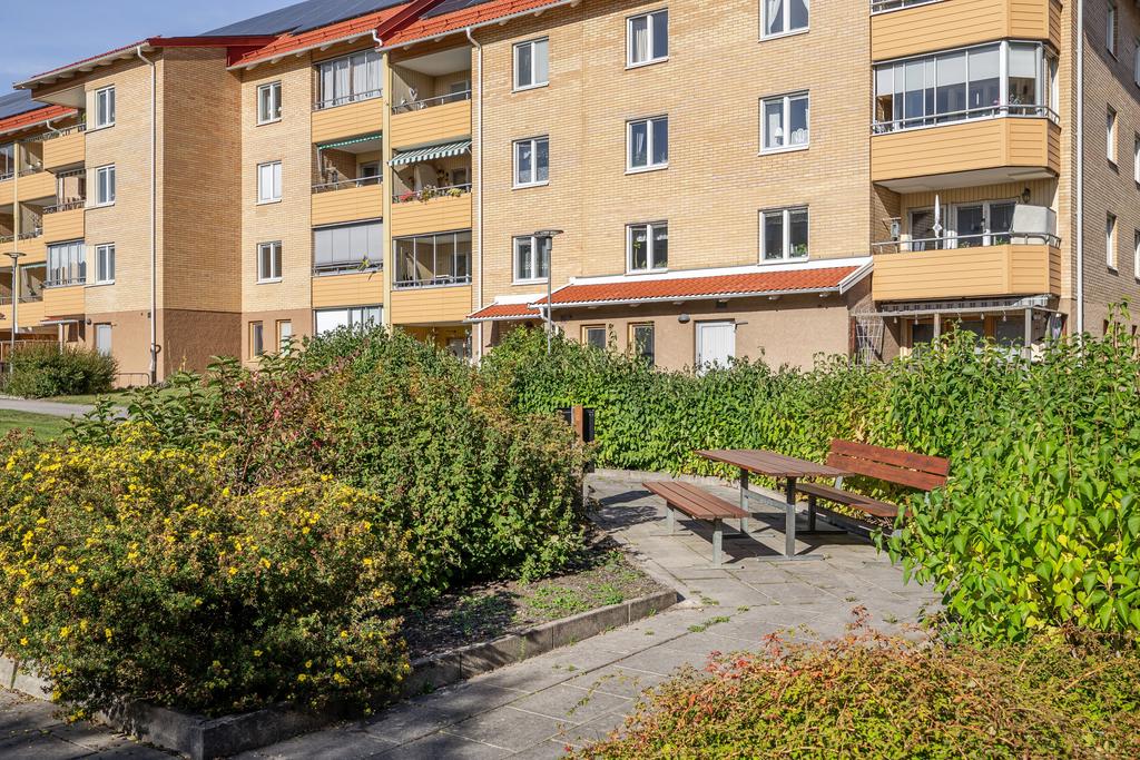 Härlig grönska utanför lägenheten.