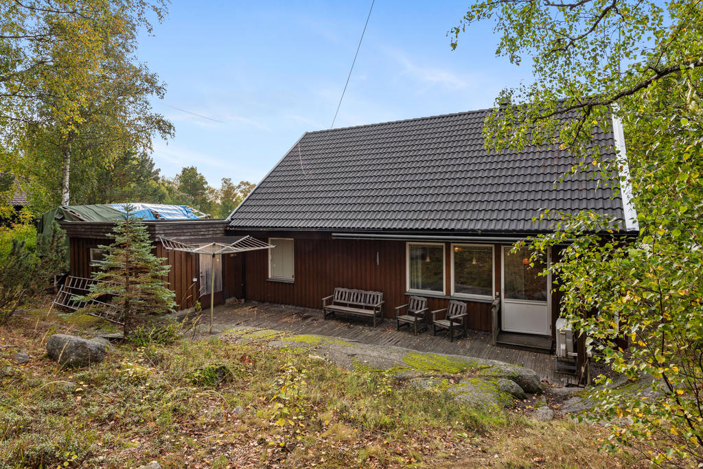 Skogstomt på baksidan.