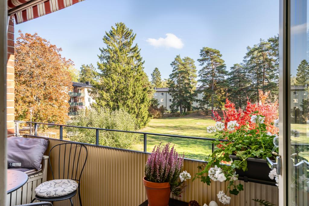 Utsikt mot park