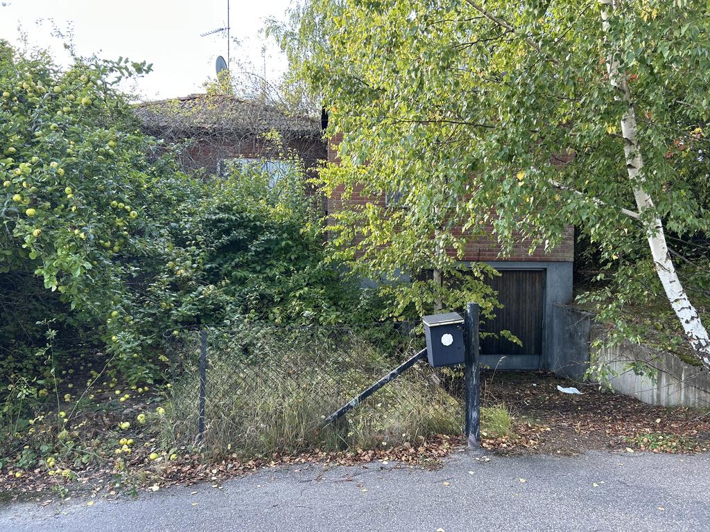 Originalbild