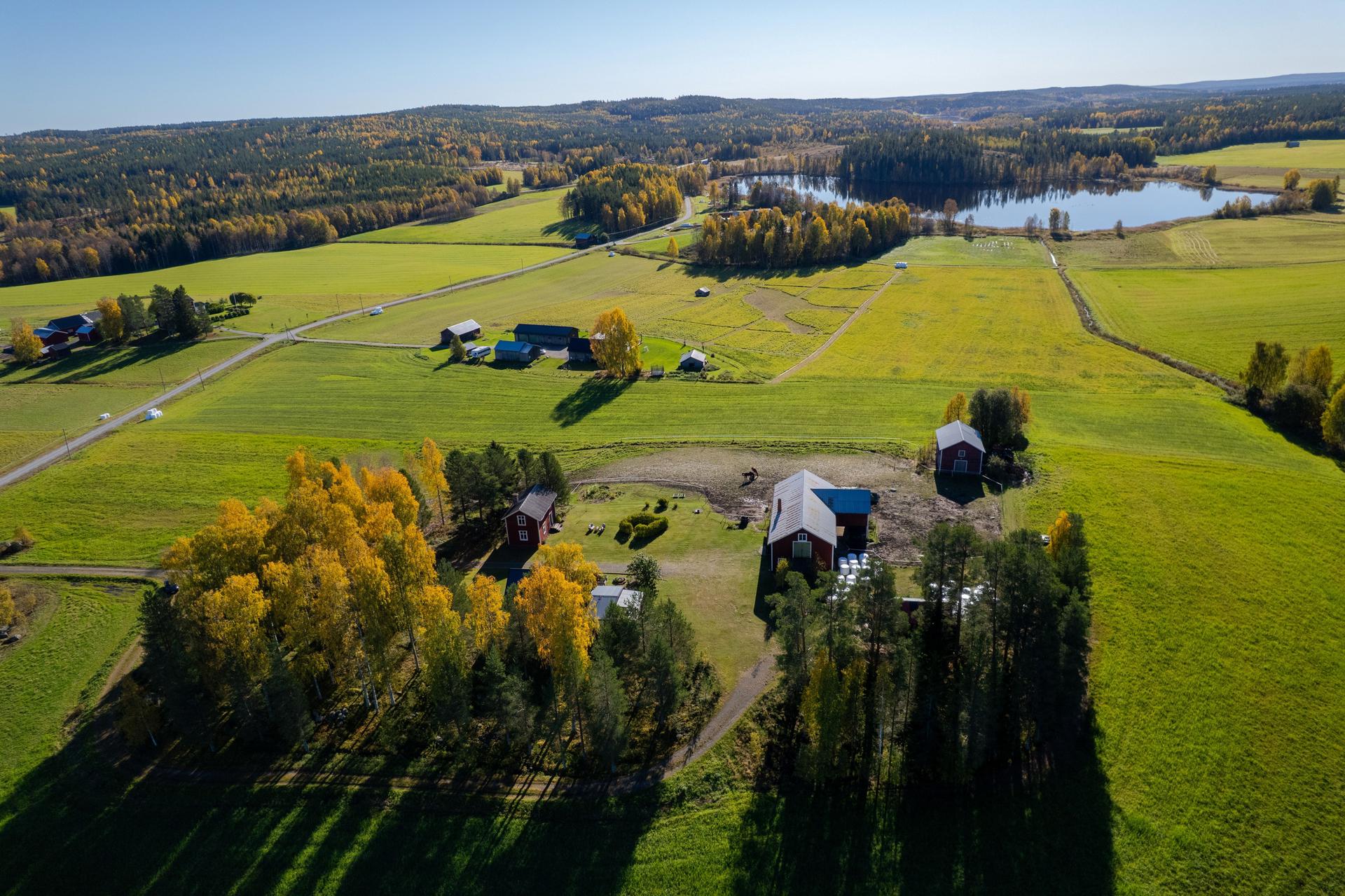 Västra Skråmträsk 134