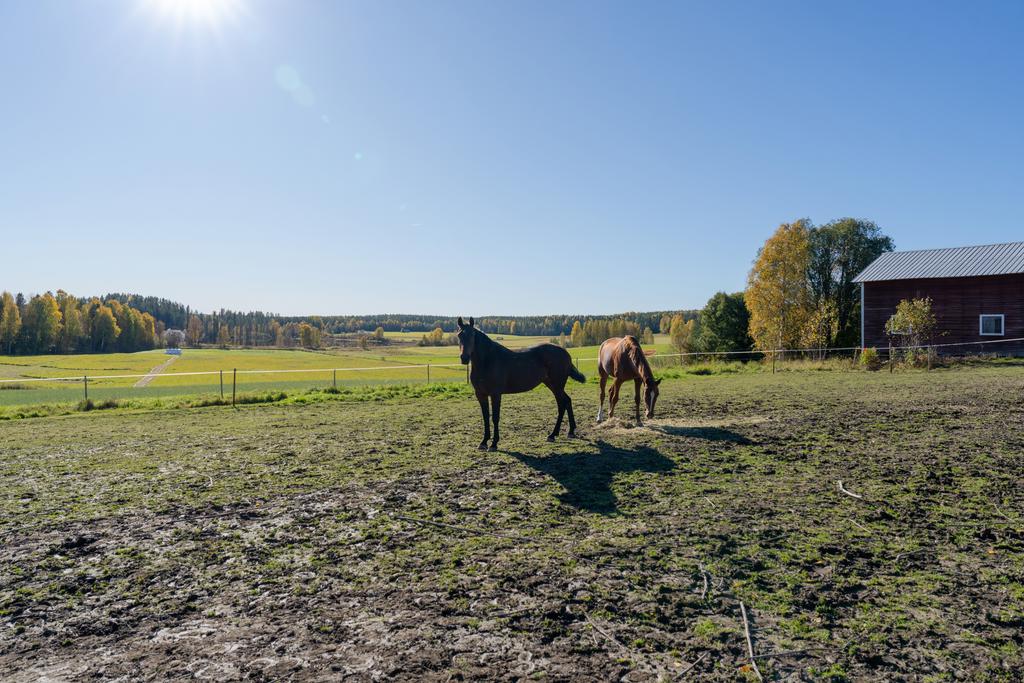 Bild 3 från Svensk Fastighetsförmedling