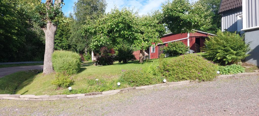 säljarens bilder