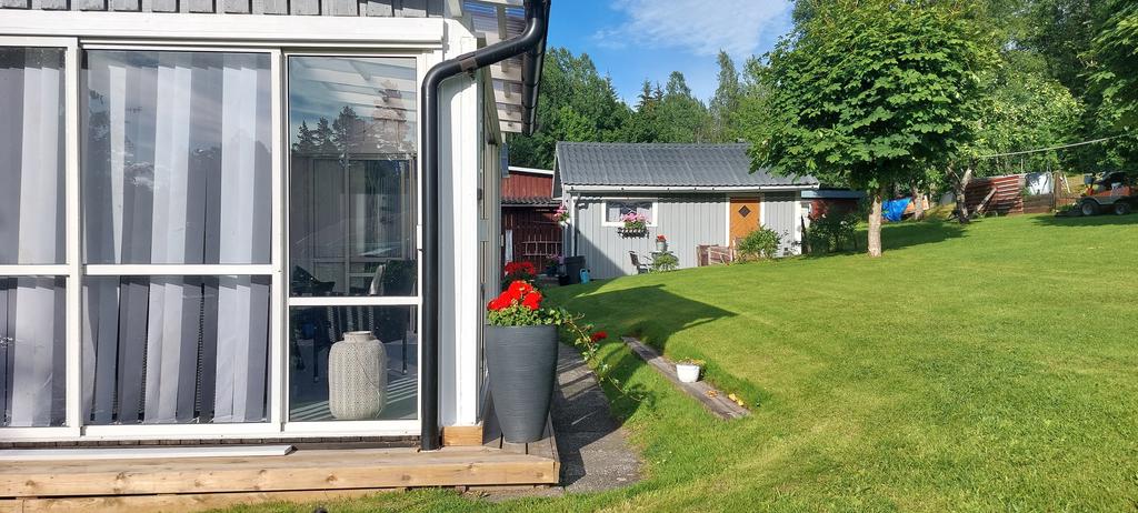 säljarens bilder