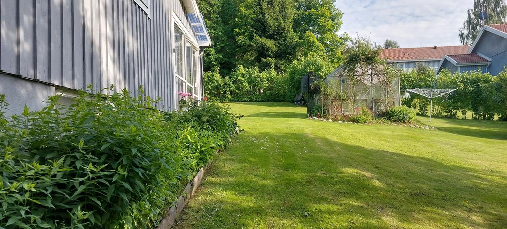 säljarens bilder