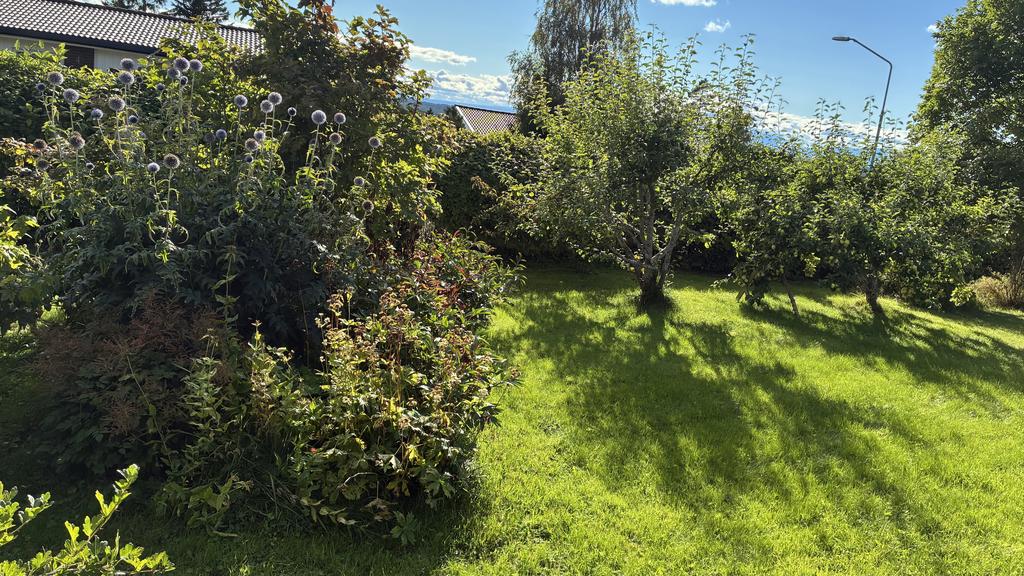 Säljarens egna bild