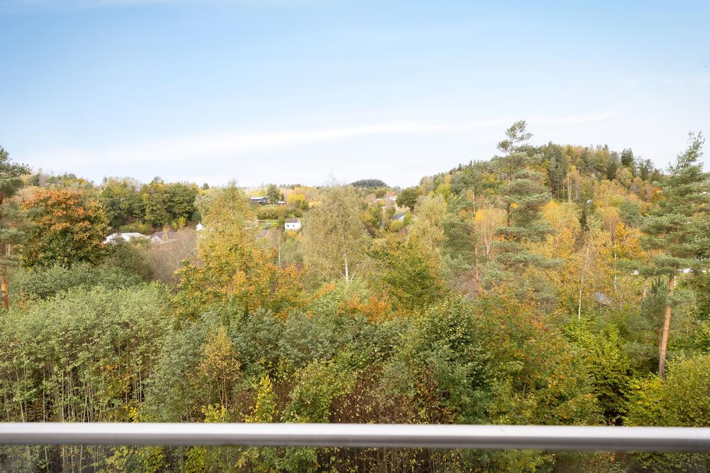 Utsikt över trätopparna 