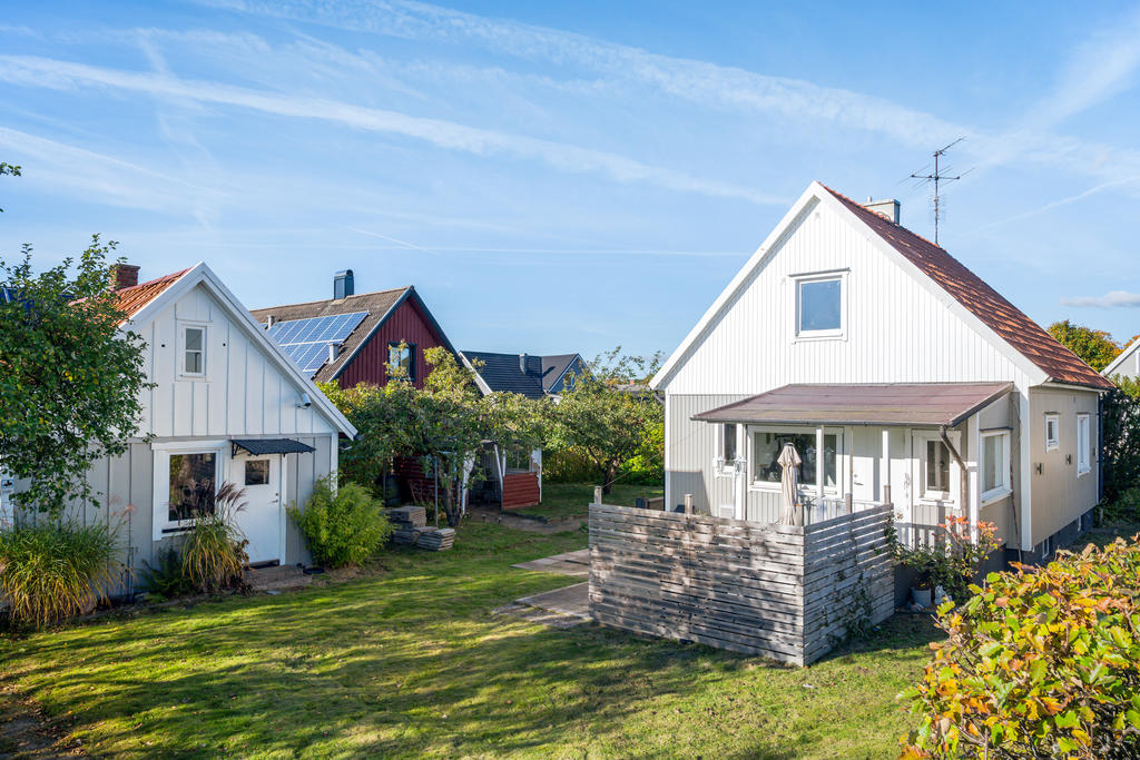 Mysig trädgårdmed äppelträd och förråd