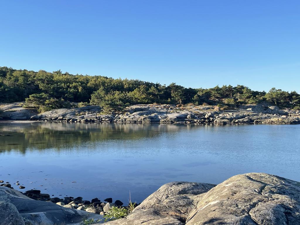 Särö Västerskog